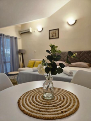 Studio Apartment SIESTA near Porto Novi